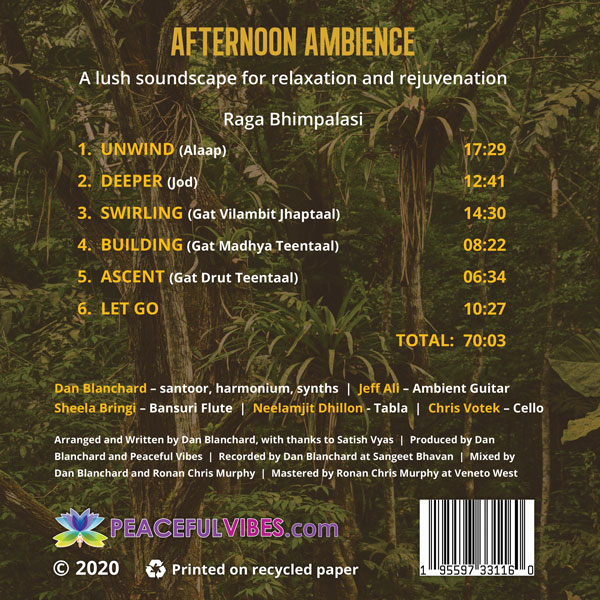 Afternoon Ambience Back cover